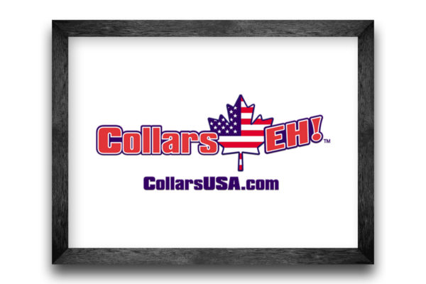 Collars USA